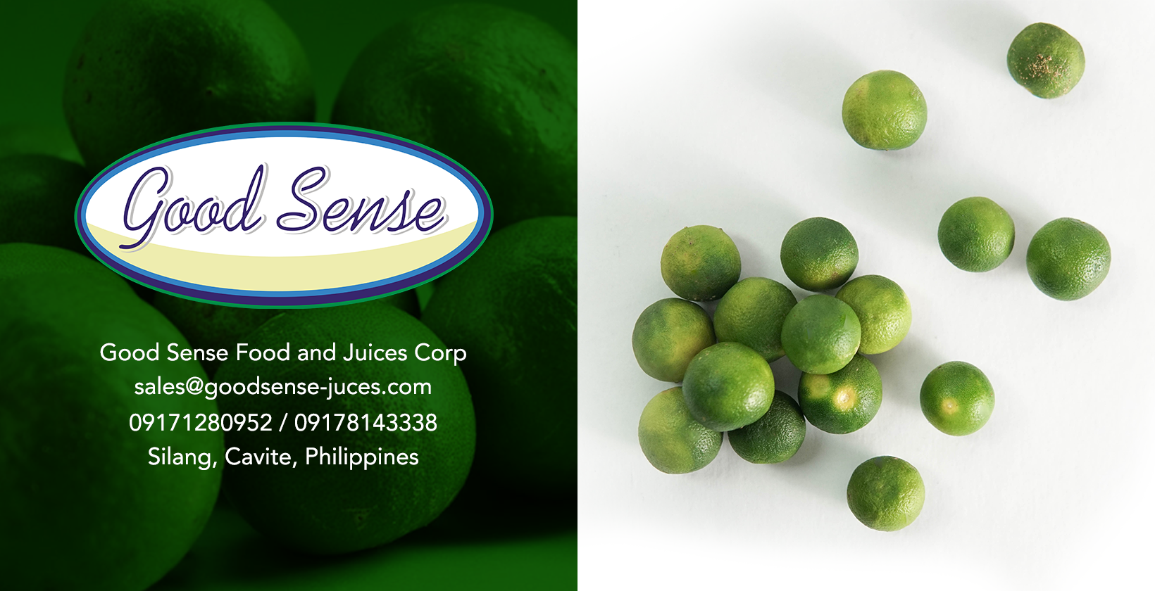 GOOD SENSE FOOD & JUICES CORP