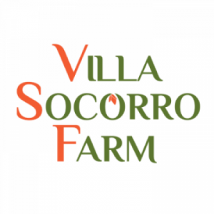 VILLA SOCORRO HEALTHY CHIPS INC.