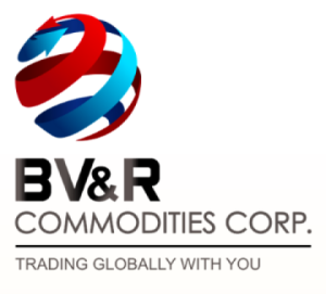 B V & R COMMODITIES CORP