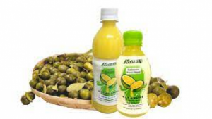 SOYUZ FOODS INTERNATIONAL INC.