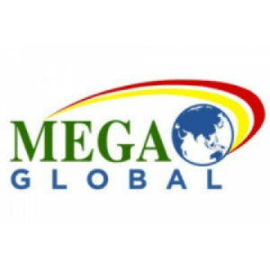 MEGA GLOBAL CORPORATION