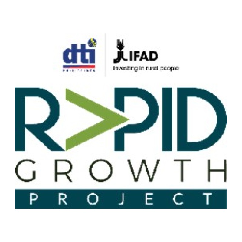 DTI Rapid Growth Project