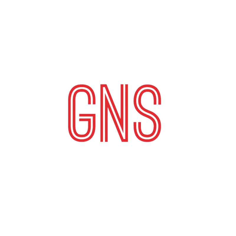 GNS Enterprises