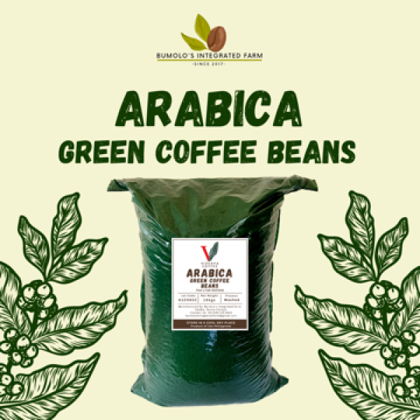 Arabica Green Coffee Beans