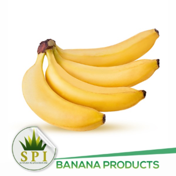 Fresh Cavendish Banana 香蕉