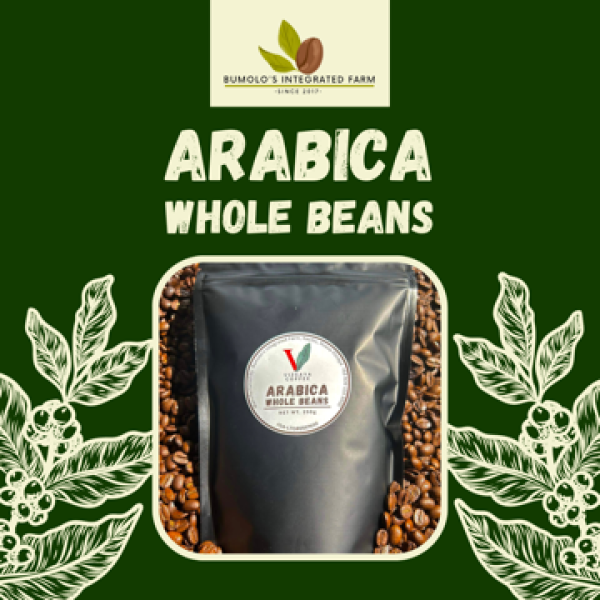 Vizcaya Coffee Arabica Whole Roasted Beans