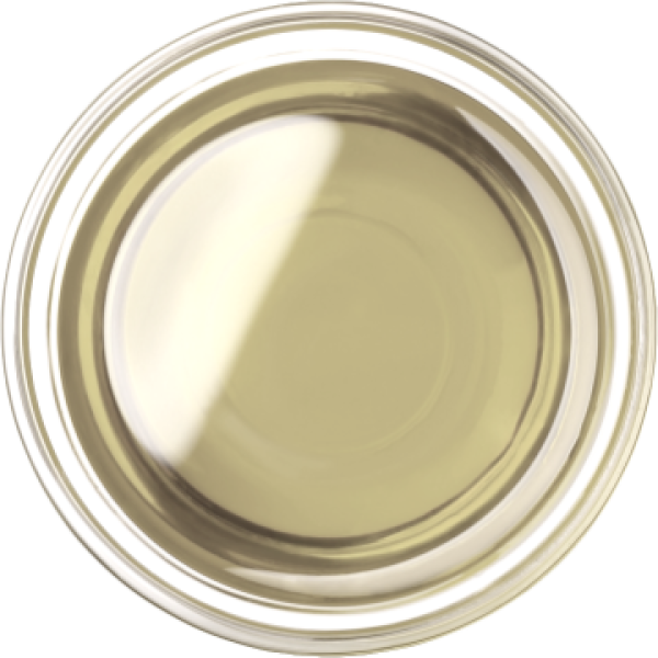 Coconut Cooking Oil (RBD)