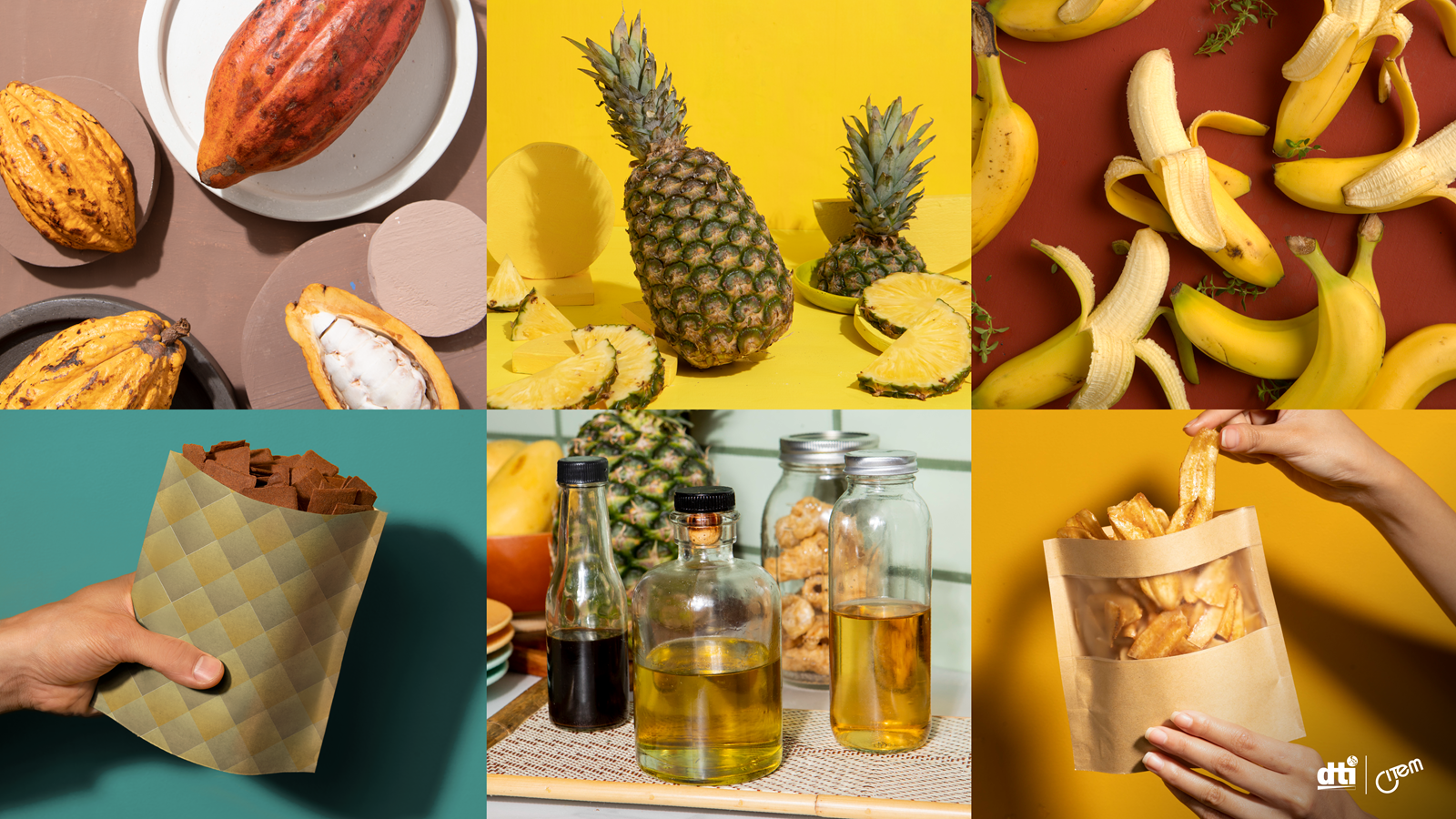 PH tropical food premiums at FOODEX JAPAN 2026