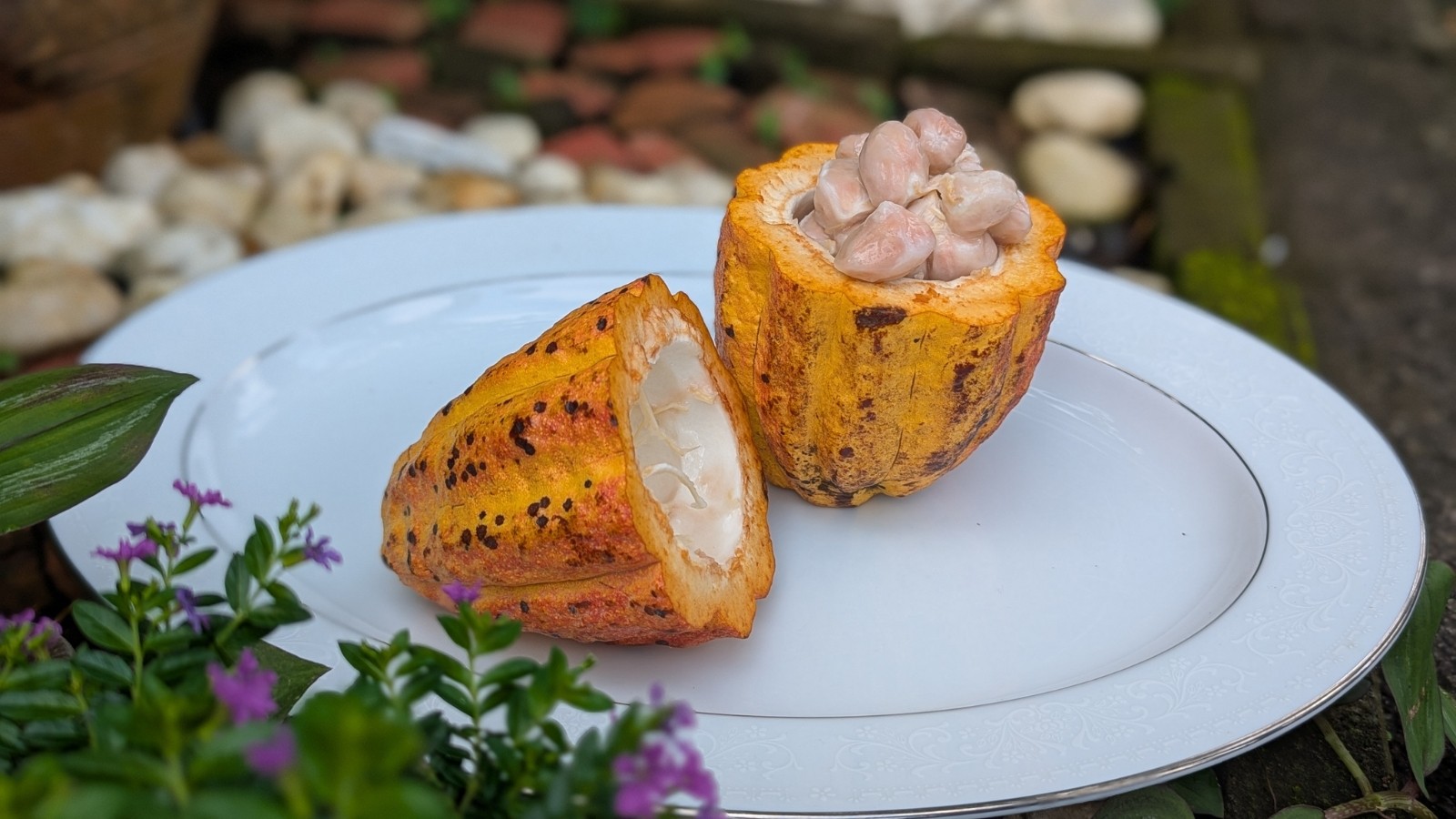 Filipino chocolatiers elevate Philippine cacao from bean to bar