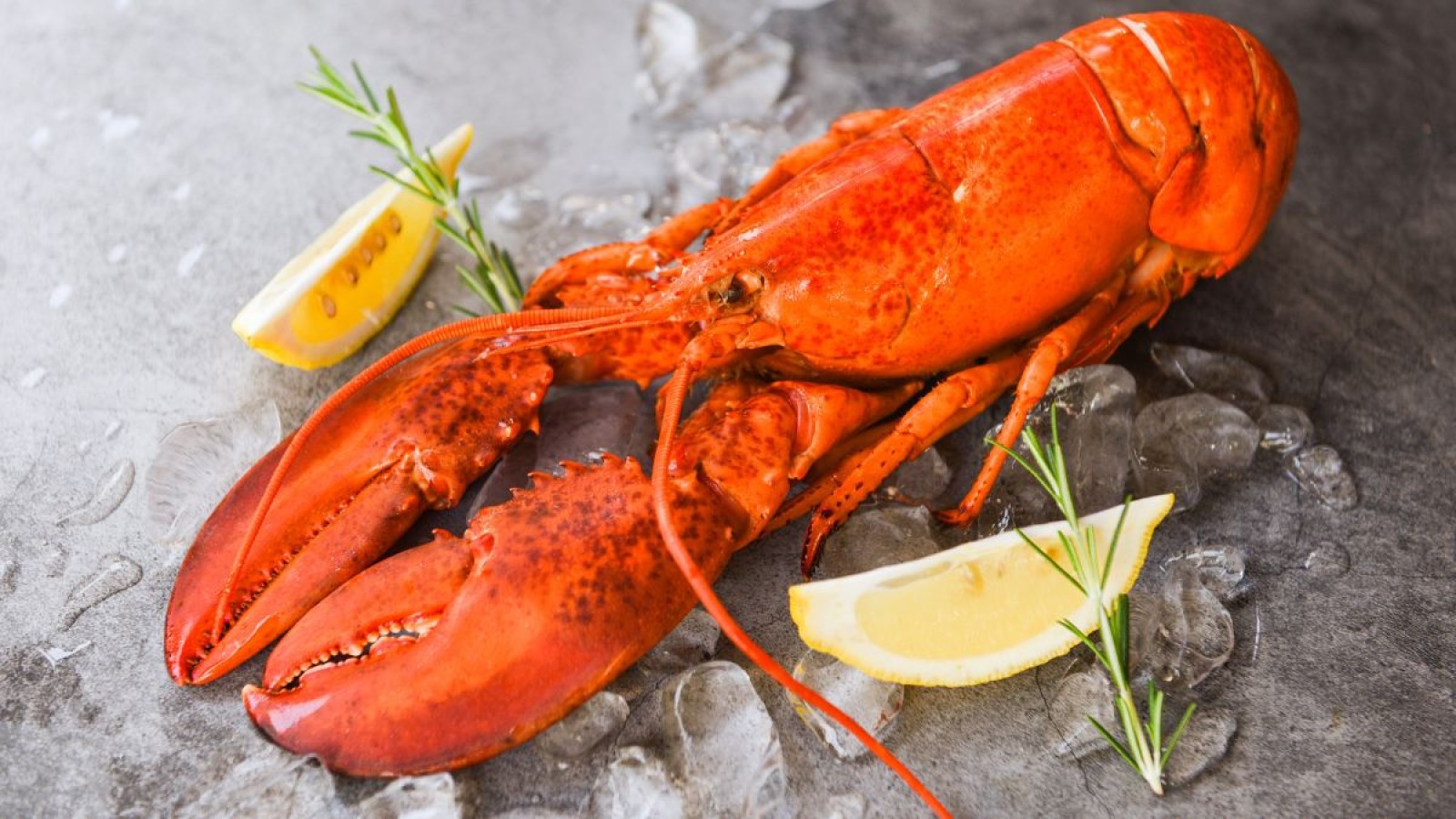 Cracking the shell: How Filipinos reimagine lobster for the home table