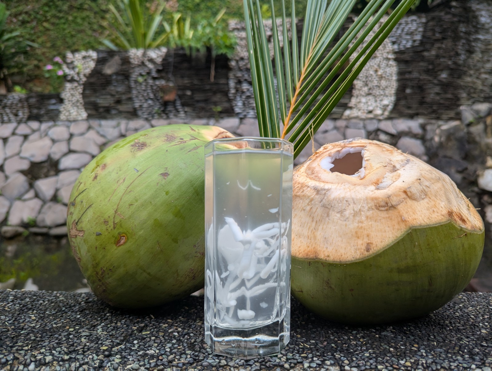 Riding the wave of the coconut water demand surge
