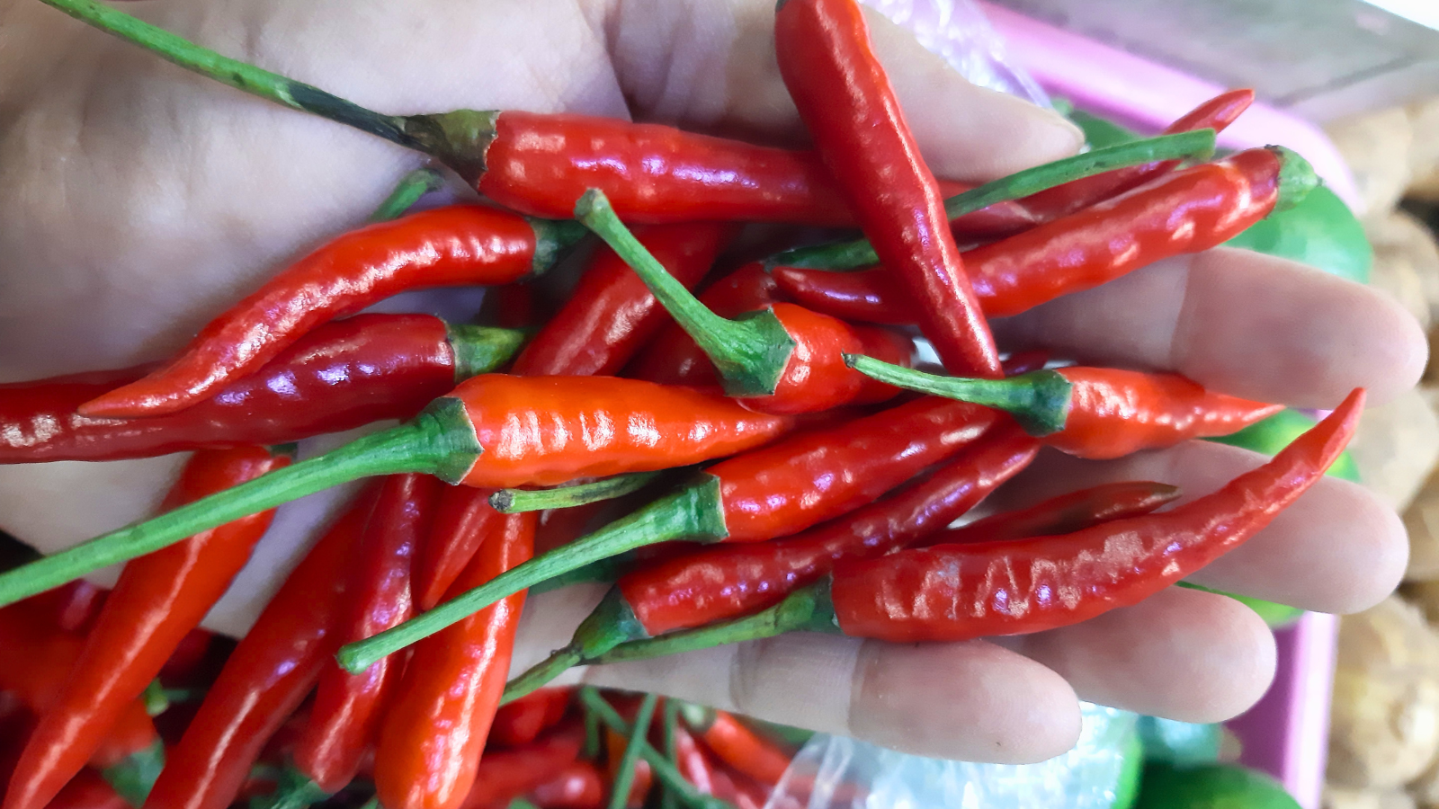 Beyond the Scoville scale: How Philippine chili is heating up worldwide trade