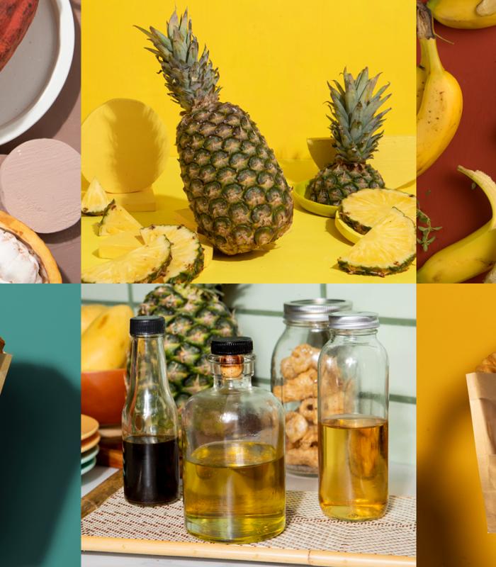 PH tropical food premiums at FOODEX JAPAN 2026