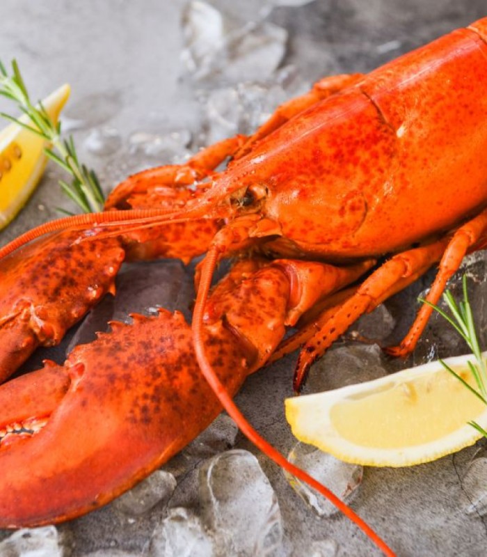 Cracking the shell: How Filipinos reimagine lobster for the home table