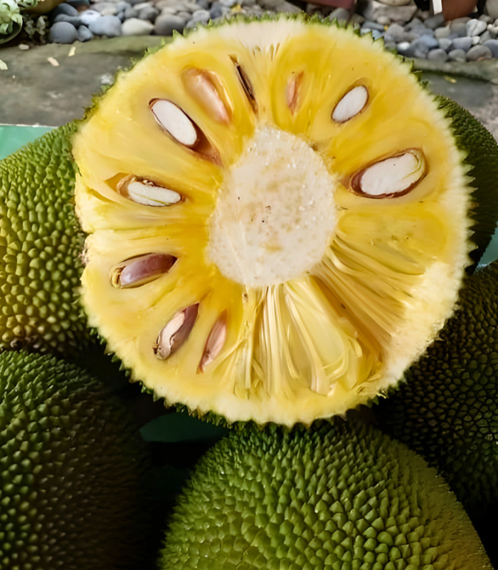 Langka love: Why jackfruit is Asia’s sustainable superstar