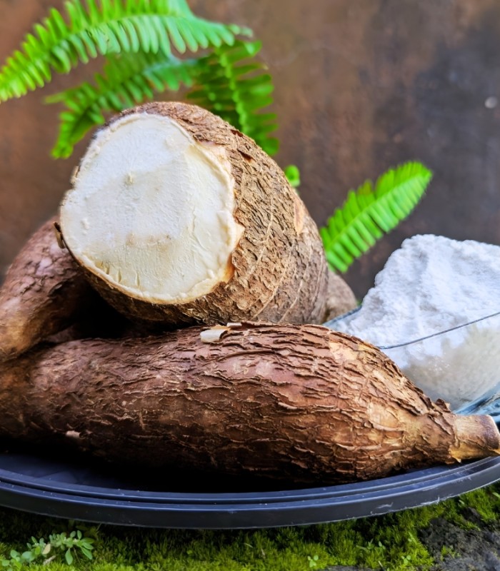 How Philippine cassava can fuel and feed a global demand