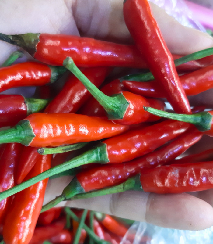 Beyond the Scoville scale: How Philippine chili is heating up worldwide trade