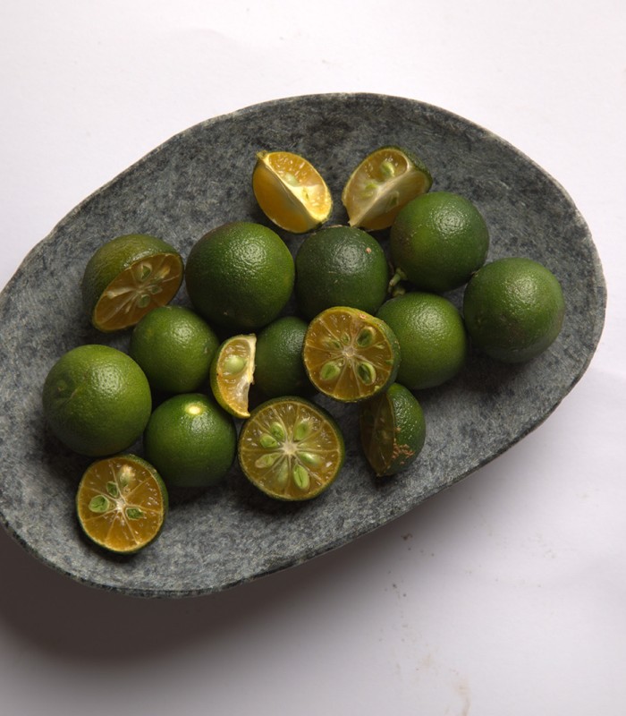 Calamansi’s many forms IFEXConnect