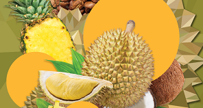 PH delegation mainstreams Durian in CIIE 2023